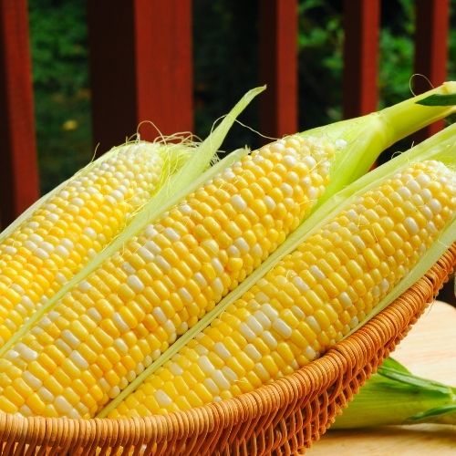 Corn On The Cob